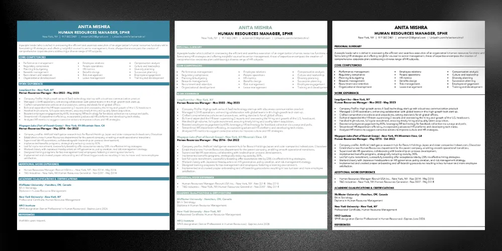 Resume Mansion offers you three exciting Professional Resume Templates!